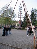 Maibaum 2009 183